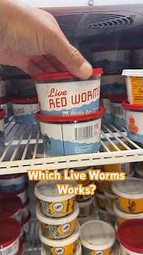 Fishing with Live Worms: U.S. Red Worms vs. Canadian Nightcrawlers