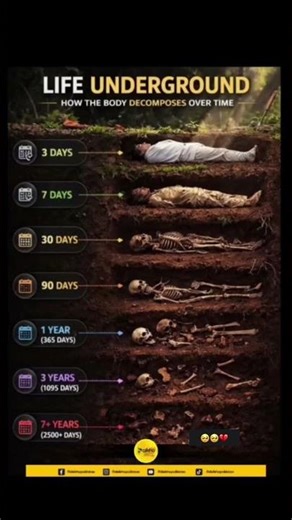 How does our body decompose?😖#allah