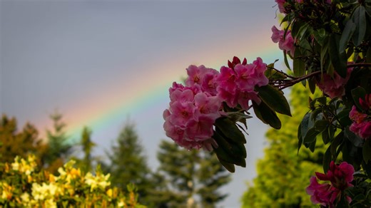 Spring in western Washington could see above average temps, below normal rainfall