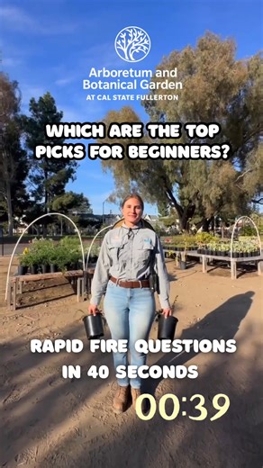 Arboretum and Botanical Garden at Cal State Fullerton on Instagram: "The Arboretum expert spills the native plant tea! Here is 40 seconds of rapid fire with Anna Baier from the Arboretum, highlighting top beginner picks, rare finds, and low-maintenance native plants. See these plants for yourself at the three-day native plant sale happening this upcoming week! Join us November 7th-9th #NativePlants #SeeYourselfHere #NativePlantSale #CaliforniaNativePlants"