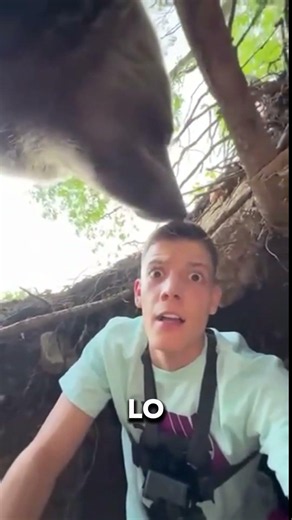 The Most Incredible Encounters with Wild Animals 😨