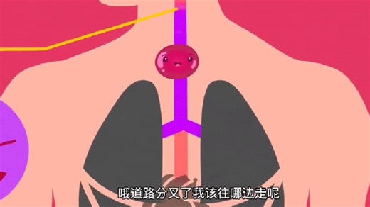 科普！动画演示食物在人体内的消化过程，了解你的身体