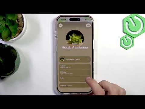 How to share your location on iPhone 17 Pro