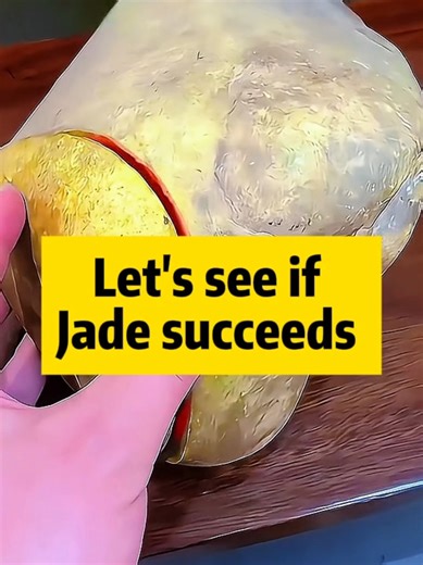 Jade Jewelry: A Complete Guide to Beautiful Jade Stones