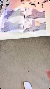 Took me 2 hours to find it 😭 #aircraft #lego #f22raptor #usaf #military | Mike Smith