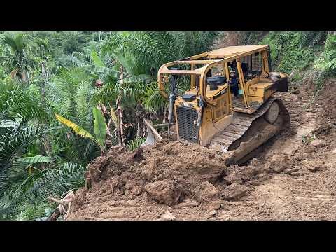 Building a Road in an Oil Palm Plantation Bulldozer D6R XL Works Well