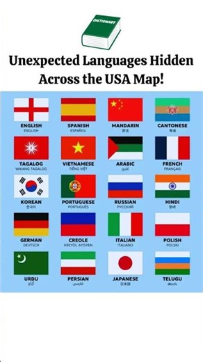 Unexpected Languages Hidden Across the USA Map #trendingshorts #mapping #usa #languages