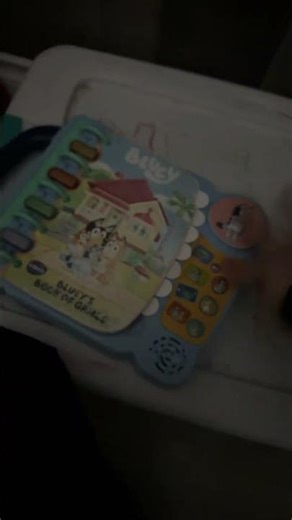 Vtech bluey off game