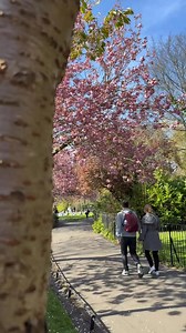 Spring at The Spencer Hotel is the perfect time for a refreshing getaway, and we’re making it even better with 20% off our Spring Sale, making it easier than ever to experience the charm of Dublin. | The Spencer Hotel