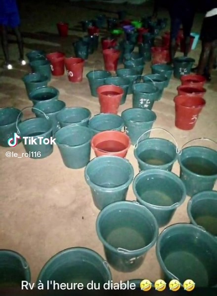 L'armée sénégalaise à Dakar : Force et engagement