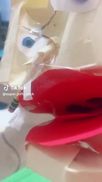 SJZ on TikTok