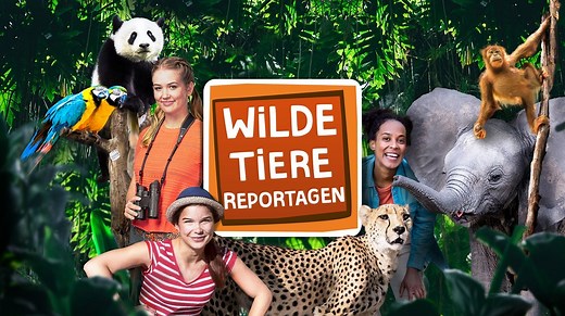 Anna, Nina, Pia und die wilden Tiere: Wilde Tierreportagen | BR.de