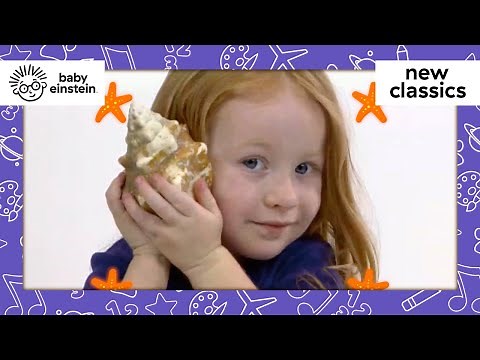 All About My Face | New Classics | Baby Einstein | Learning Show for Toddlers | Kids Cartoons