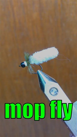 Meine liebste Fliege 2025 | mop fly