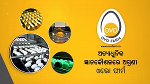 38K views · 713 reactions | OVO Farm in Balangir, Odisha produces quality eggs for consumers using technology and automated plants. Declared a Bio Secure Zone by the Govt of India, OVO Farm takes care to minimize human contact with the eggs while ensuring flock health. OVO uses pioneering Blockchain Technology to ensure traceability of eggs from farm to plate. #odisha #technology #eggs | OdishaLIVE | Facebook