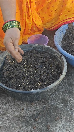 How to Grow Unlimited Mustard Greens from Kitchen Seeds!