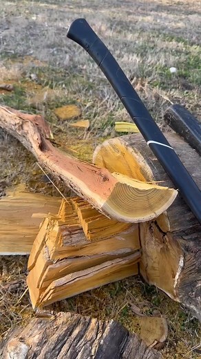 Smokers ASMR #burgers #foodholiday #nationalcheeseburgerday #fastfood #americanfood #fire-000 #cheeseburger #recycledmaterials #asmr #favoritefood #burger | Mary Velasquez