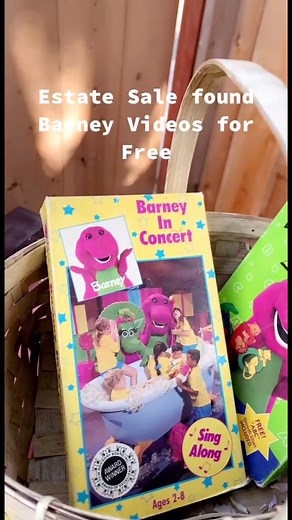 Barney Videos #Barney #barneythepurpledinosaur #vhs #videos #estatesale #90 #90sdancechallenge #90s #fyp