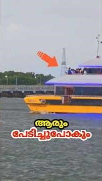 No one will be scared #shortsfeed #shorts #youtubeshorts #shortsvideo