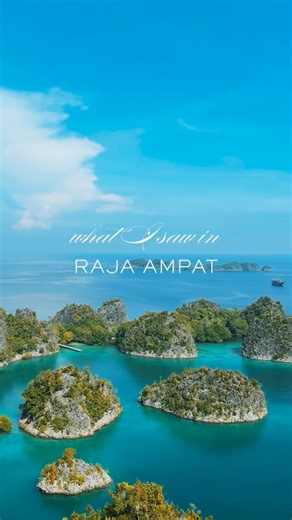 Radhika Seth on Instagram: "you’re telling me all of this exists and you’d rather spend your life on land?! nah would you want to go diving?"