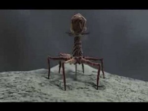 Mike Smith - The Nano World of the Human Body, Scientific 3D Visualisation