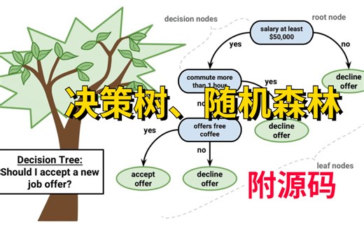 【决策树、随机森林】附源码！！超级简单，同济大佬手把手带你学决策树，快速搞定你的难题！—决策树算法|随机森林|决策树模型|机器学习算法|人工智能