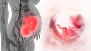 Science Reveals that Fetal Cells Remain in Mothers Long After Pregnancy