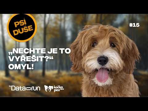Nechat psy ‚ať si to vyřeší‘? Největší omyl | Psí duše #15