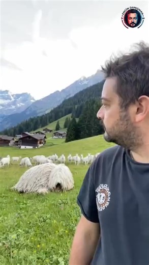 Something oddly familiar about this wonderful hound... | Creature Features