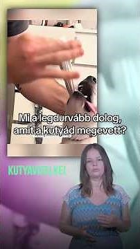 Mi a legdurvább dolog amit a kutyád megevett?#kutya