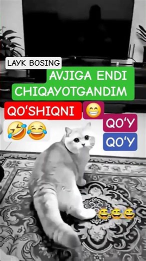 #obuna#bulib #ketinglar#jigarlar🥹🥹🥹