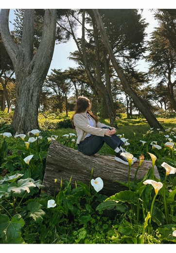 California Calla Lilies in Bloom: Where to Find Them