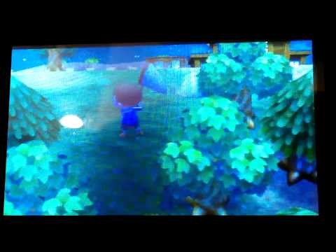 Animal Crossing: New Leaf - Catching a Tarantula