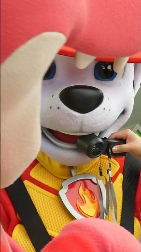 Paw Patrol The Dino Movie Premiere Paramount Studios Los Angeles California August 2, 2026