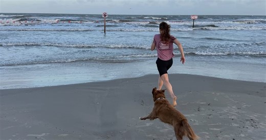 Over the moon: Watch Astronaut Christina Koch reunite with dog after lunar mission