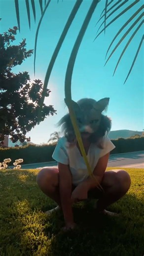 Im outside again// #therian #quads #quadrobics #alterhuman #otherpaw #otherhearted #otherkin #cat