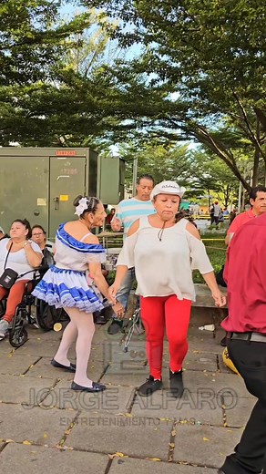 107K views · 353 reactions | YAJAIRA Y SU PIPIRIPAO | Jorge Alfaro | Facebook