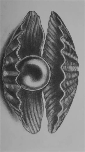 Realistic pearl shell drawing #drawing #sketching #art
