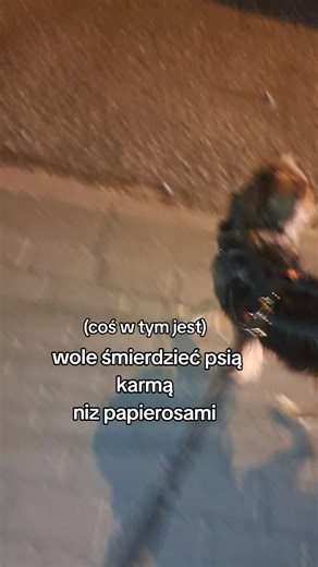 Filmy użytkownika 🪼luna twoja duma🪼 (@dogcomunity6) z muzyką som original - thegoodvibesplaylist