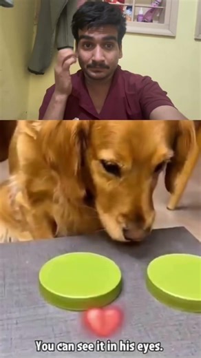 He Thought He Chose Right… Until He Saw The Truth #viralshorts #algorithm #dog