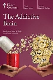 Watch The Addictive Brain Season 1 Episode 9 - Stimulants - From Cocaine to Ritalin
