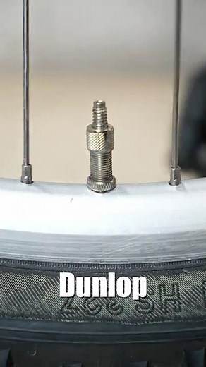 Bike Valves: Dunlop, Schrader, Presta