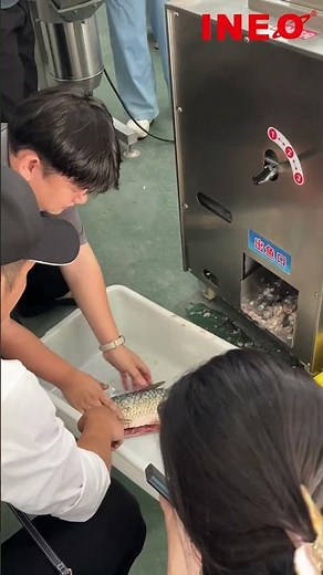 INEO Automatic Fish Killing and Scaling Machine