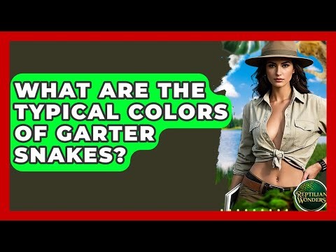 What Are The Typical Colors Of Garter Snakes? - Reptilian Wonders