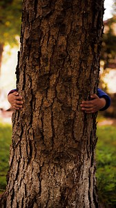 Celebrate National Hug Day by embracing your inner tree hugger! Join us in showing love and support for the environment by giving your plants a warm and heartfelt 'hug' today. 珞 | Centurion Brands | Facebook
