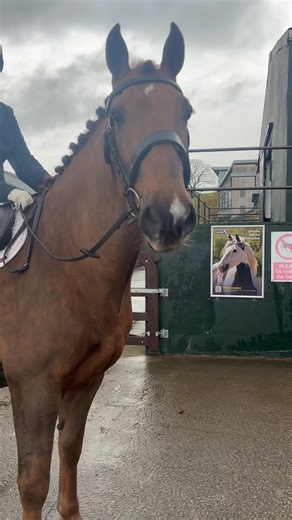 2.1K views · 39 reactions | Impressive turnout for today’s...