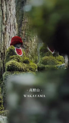 🇯🇵 【高野山】和歌山の神秘的な古道と奥の院を歩く癒しの旅 | 心が静まる日本の景色 #japanlife #travel #japan #祭り #日本文化
