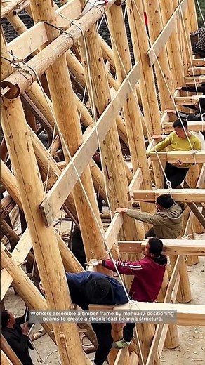 Traditional Timber Frame Construction in Action