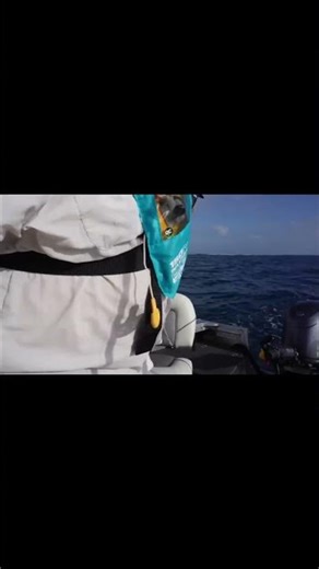 Cheap Temu Squid Gets Smashed