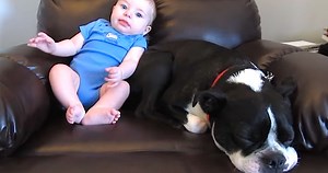 Baby Farts And The Dog Decides To Quickly Leave The Scene